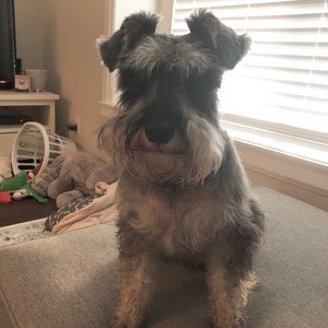 Meet your Posher, Hayley